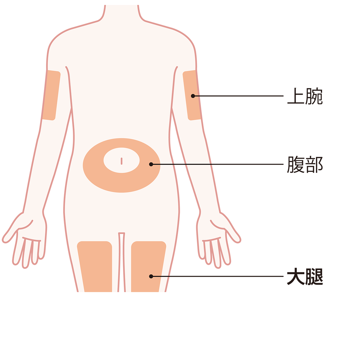 皮下注射の部位